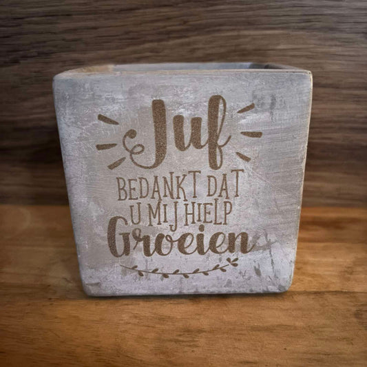 cementen bloempotje met bedankt juf dat u mij hielp groeien